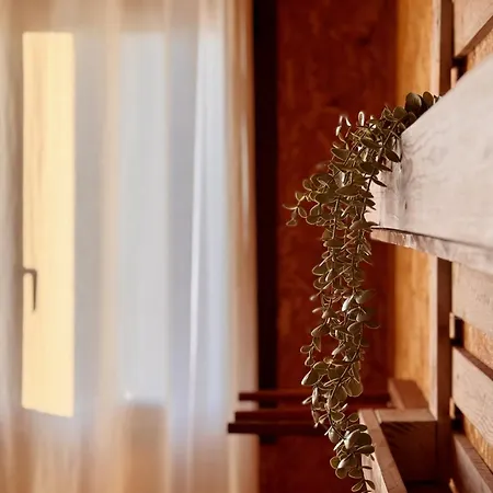 ホステル Eco - Tribo Da
