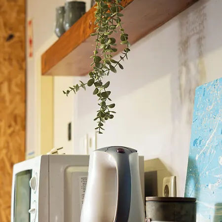 Eco - Tribo Da Ferrel (Leiria)
