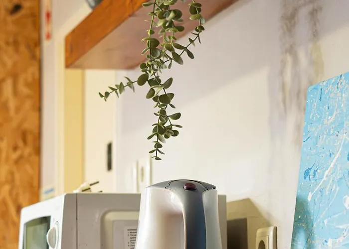 Eco - Tribo Da Hostel Ferrel (Leiria)