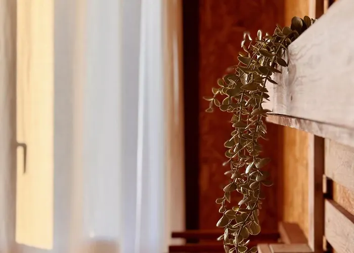 Hostel Eco - Tribo Da